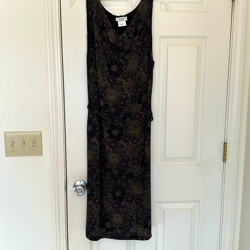 Sarah B Studio After 5 Sleeveless Glitter Dress